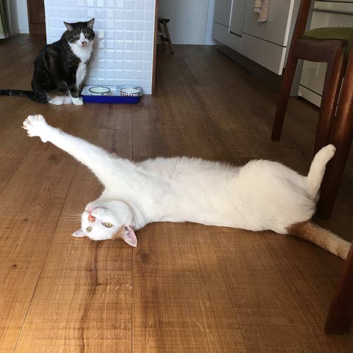 Bc223415 10b0 46f7 8b1b 5690b0d6cdbc 1552004006449