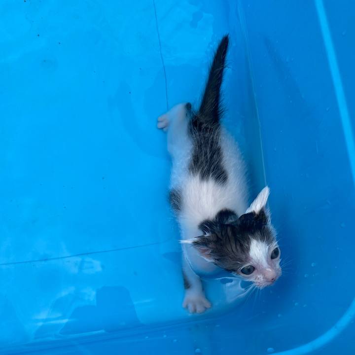 Bc22873f 36e5 483f 8c07 a16e4c3b9cb9 1756014523425