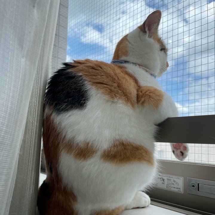 Bc22a257 f352 4d94 b8f9 7b52e64830dd 1691808190987