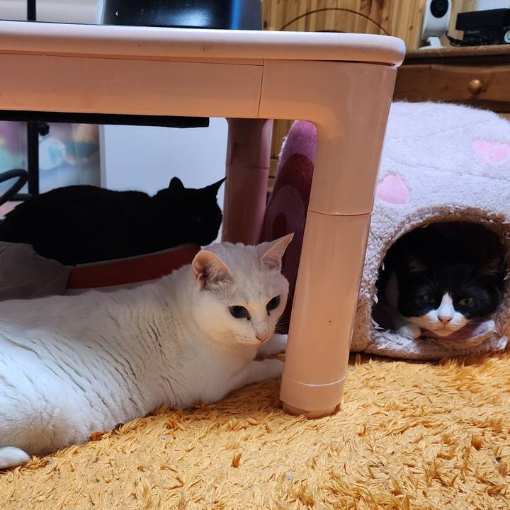 Bc22c23e 66df 4f96 adc8 f6663719bd29 1761105878276