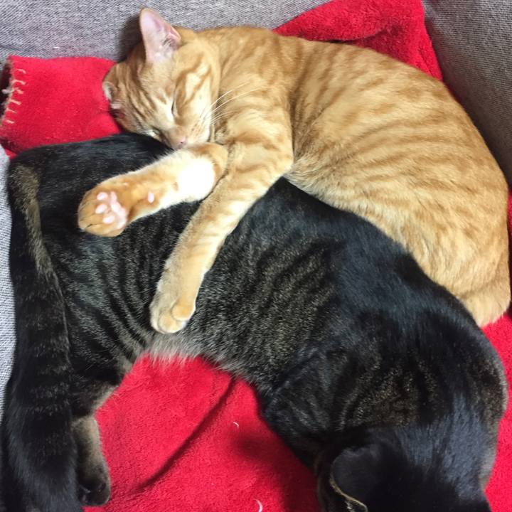 Bc231439 10d4 4510 ab1a 577746db5f23 1512833249954