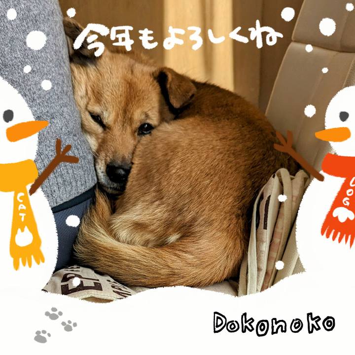 Bc23599a ca2b 4a0e 8e08 54adb259fd6b 1704162878293