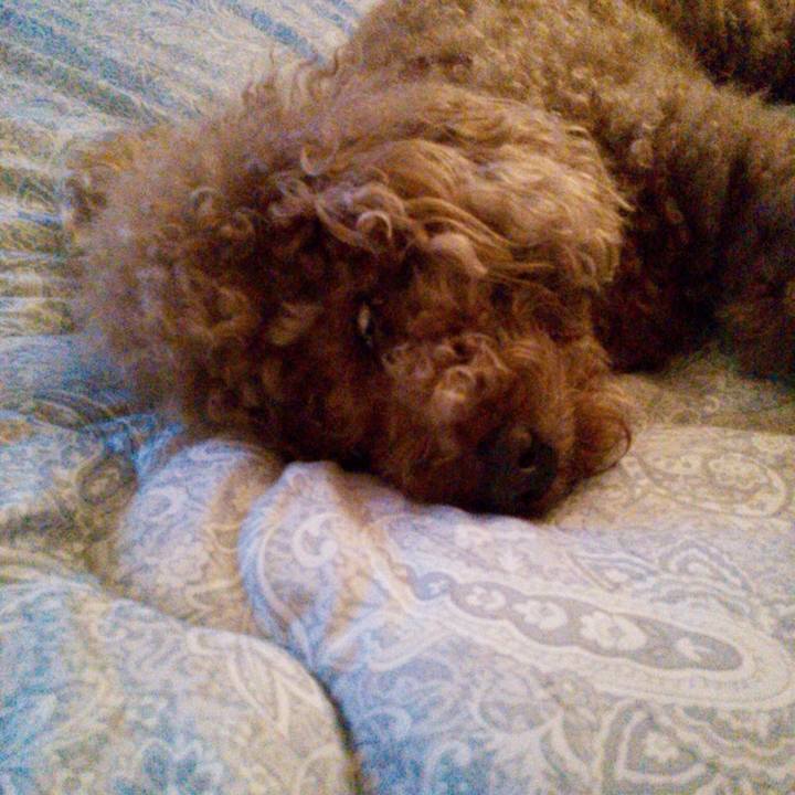 Bc236560 5301 4892 b445 739b3494ff55 1553615863894