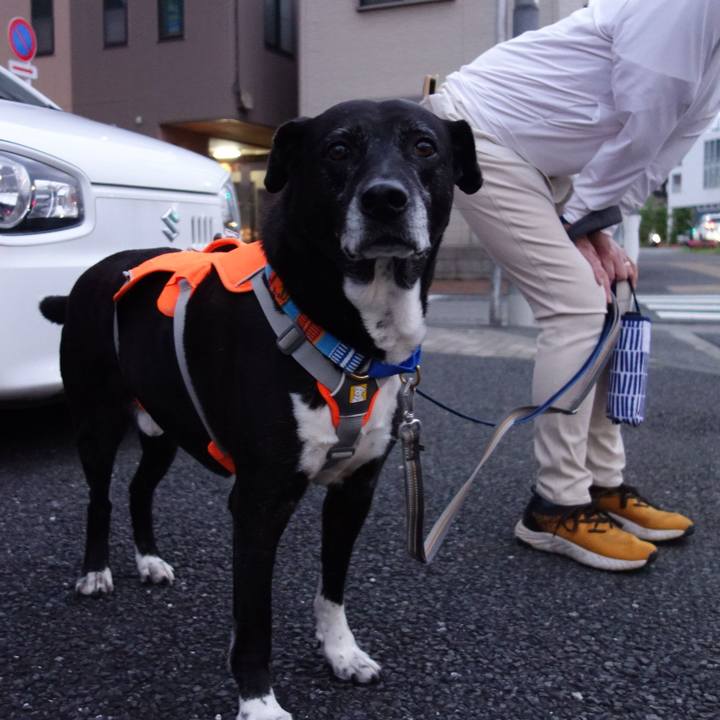 Bc239411 2b36 4fcf ac04 18f9cdec07f2 1748170973377