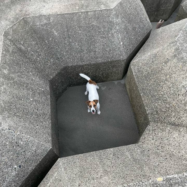 Bc23faf3 7c29 471a 8d23 e710a51cc8ba 1629071876637