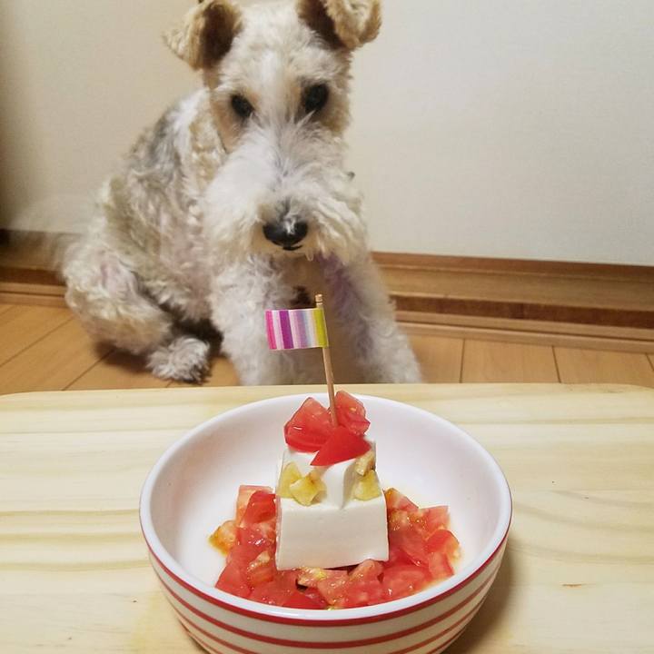 Bc24069a 530b 4acc ae68 f5e8a35f24b0 1532868096810