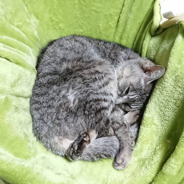 Bc242031 20af 4c5d a246 e98717a097c8 1582535051874