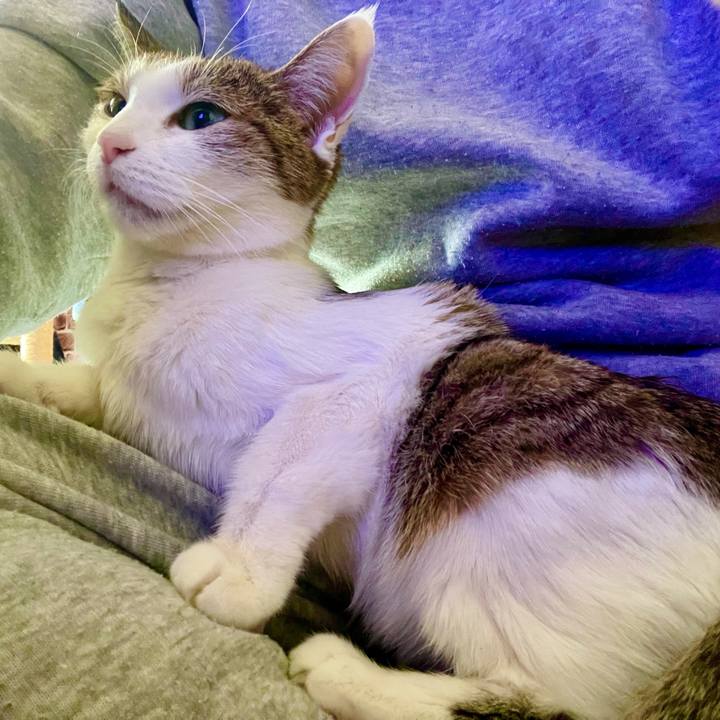 Bc2424fe 11ba 43ec 99e6 88ad9309142b 1639351487160