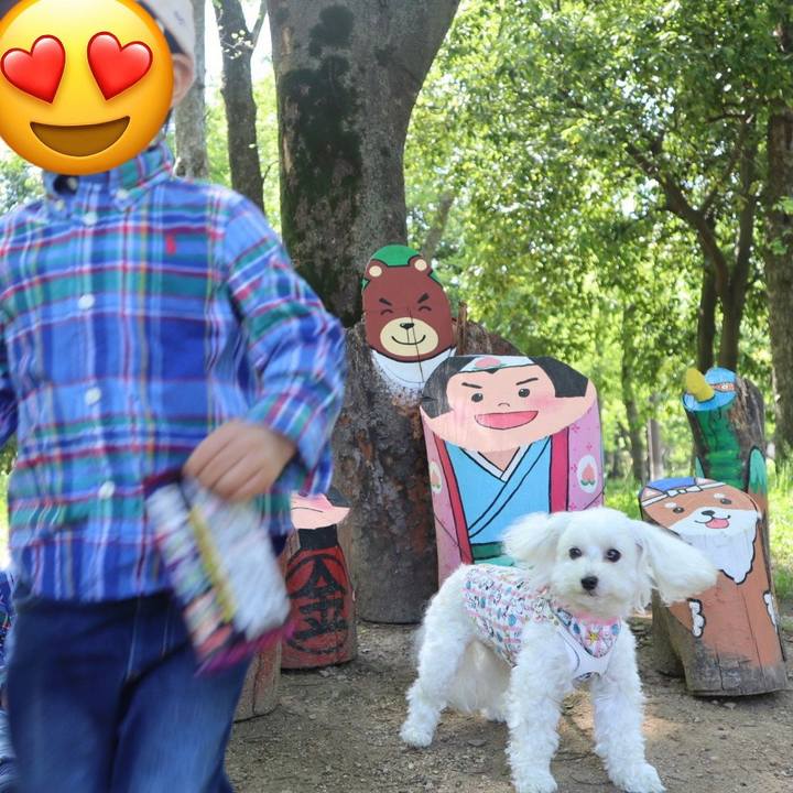 Bc242786 dce3 4002 9506 ca3dbbdedb44 1651823492658