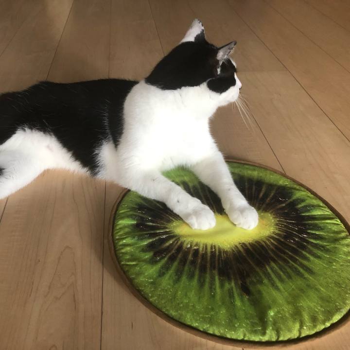 Bc243f2b 24c0 42b4 8db1 d8ed4fbebac4 1564713789156