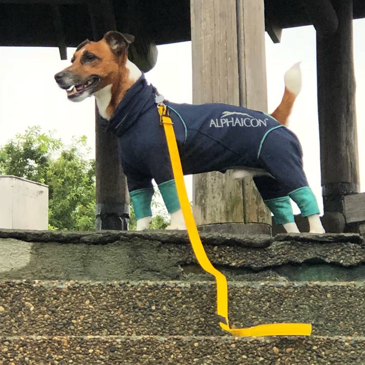 Bc2443c9 bcb0 4039 8957 c31d84f4e0fb 1531348682609