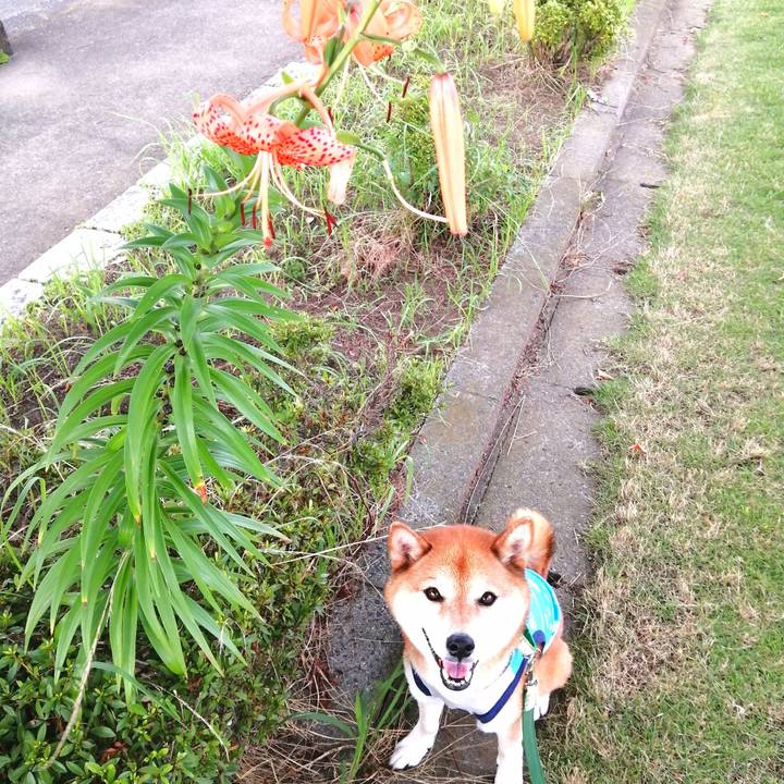 Bc246c43 e812 4796 83ff 5f2eb39963bd 1658413483186