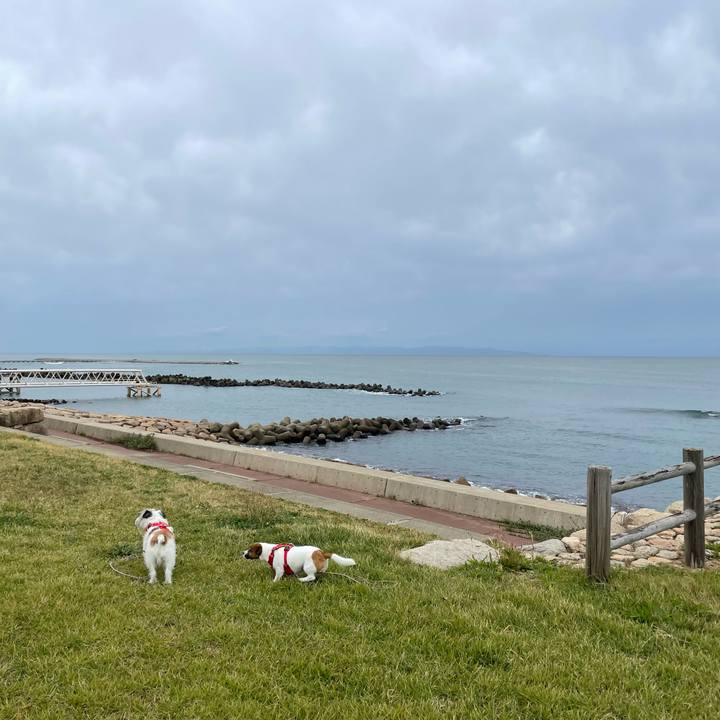 Bc2481e0 c083 4dc7 844c 634f62db97bb 1665099160010