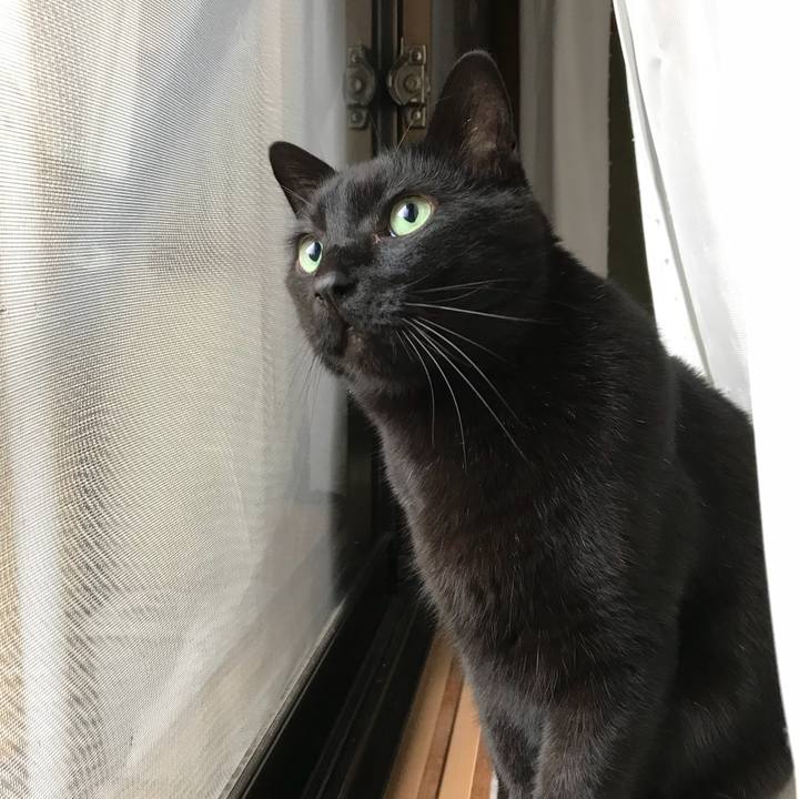 Bc24d225 22cd 46aa 91de f1ce3d619a90 1520472706708