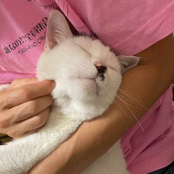 Bc24d4b9 9448 4a00 aa28 a451b1b8fcfd 1633614795762