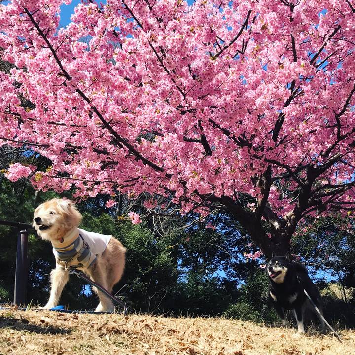 Bc24d969 f0a1 4897 9aeb 2cbb93745029 1614389550266