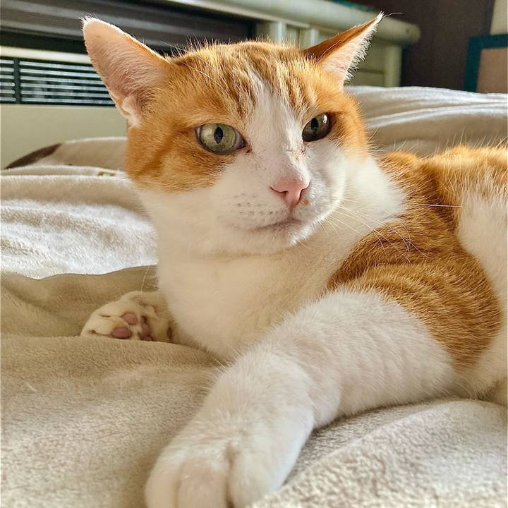 Bc24ef06 fd65 439d a4be a0aa618a3a2c 1645743048814