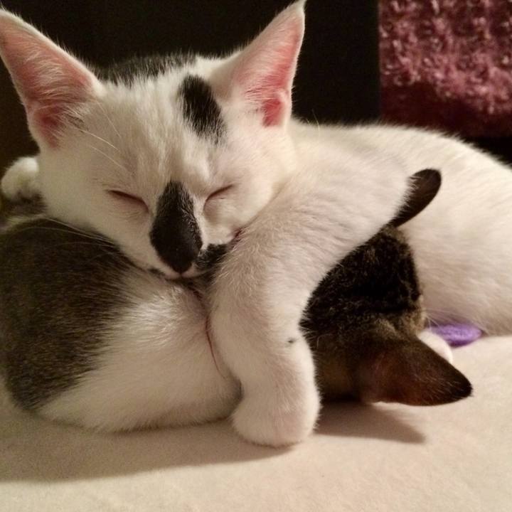 Bc24f0e6 cef2 47c6 b9a8 f5066d0a2f32 1768049957977