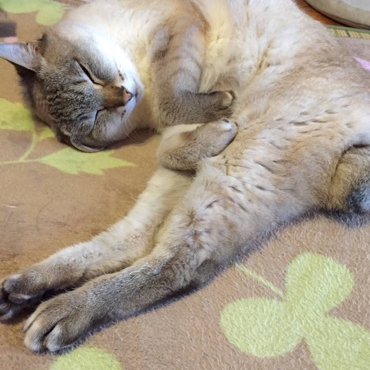 Bc24f485 ea6d 46e7 9c86 aa12dddd7bca 1524436393746