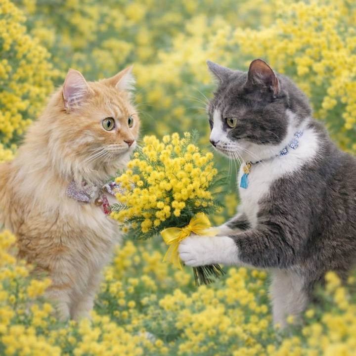 Bc250301 2d6b 4f31 8eda 5b8511481639 1772937186224