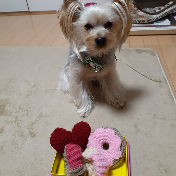 Bc250c97 ff71 45b3 9d98 73db36c8d258 1576968175336