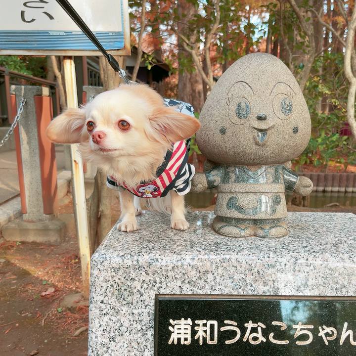 Bc252e4b 4898 4095 adde 84104f01324b 1700735911342