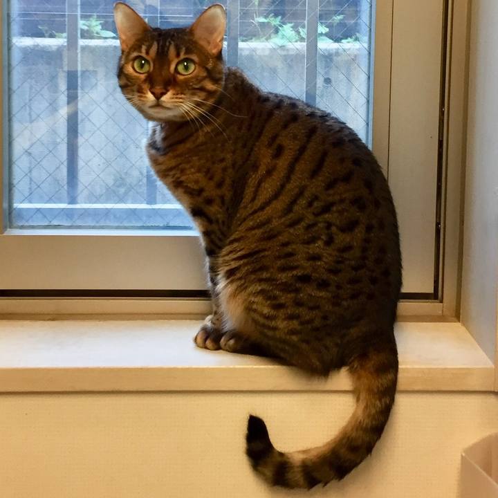 Bc25721f 8427 4e6d 8291 232f00ad7775 1523149570159