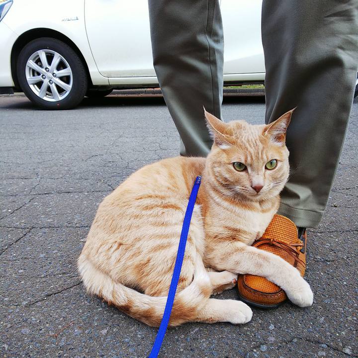 Bc2573e6 d786 4e11 974e e7773c9cf061 1589271217437