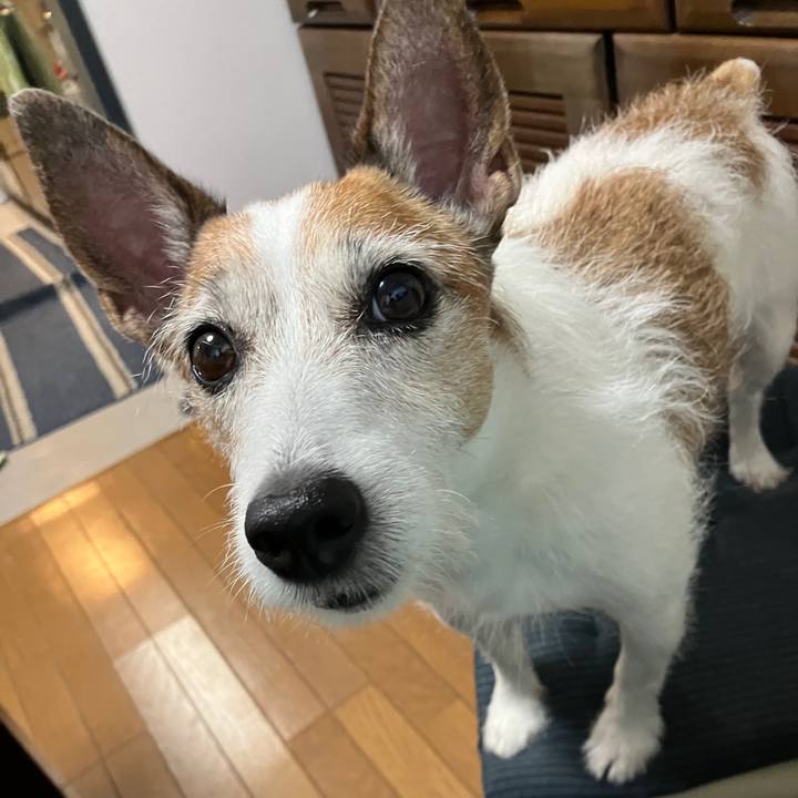 Bc25a26d 1688 4b5d 9121 6226e029c252 1697584802394