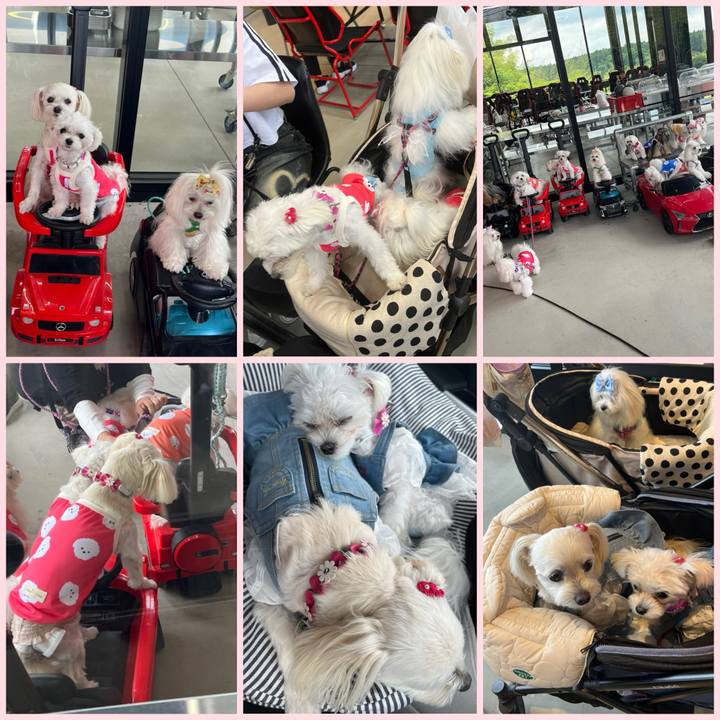 Bc25e182 ee09 4a38 b843 2c5beeb6d59e 1717318560260