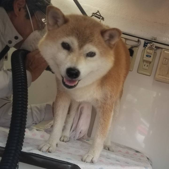 Bc2602f7 0a09 456f 99ae 321ffdff2896 1659490788701