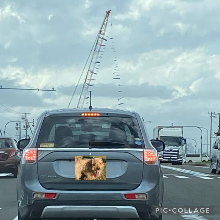 Bc260b12 bfc5 4159 8b07 8e2d6be3f6d1 1683288148449