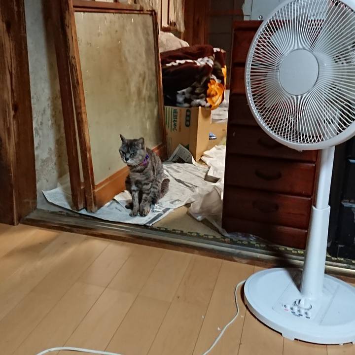 Bc26789d 91bf 431c b1f1 20da1d252c6b 1597347267761