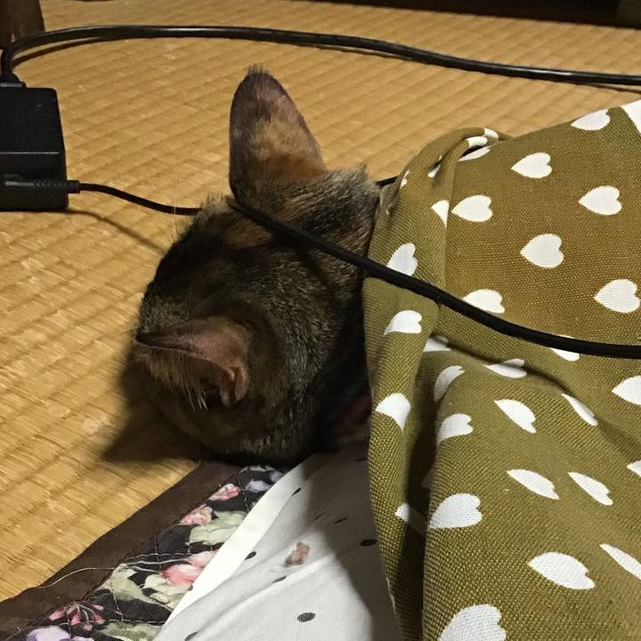 Bc268a80 7479 40e8 8175 62afcb3b14be 1618828934438