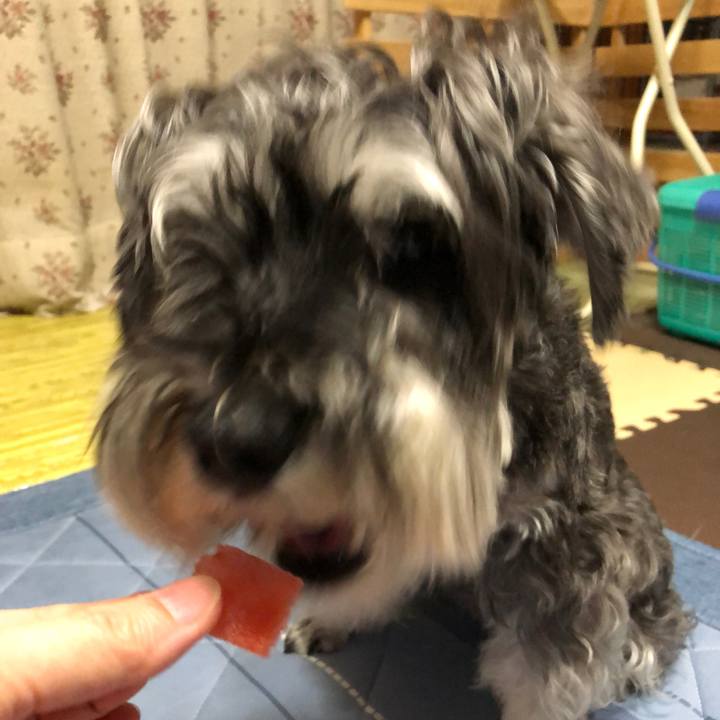 Bc26982b 6457 4087 b48d 7c4f8215576e 1691241862376