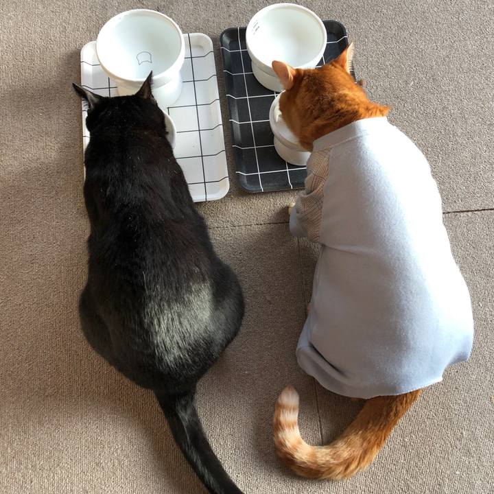 Bc26a337 3099 4cef 97bd 87c8b69c4781 1682024453220