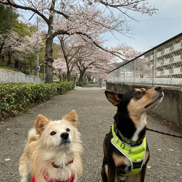 Bc26a3be fadb 47d7 8617 94ba6c29620c 1648519493869