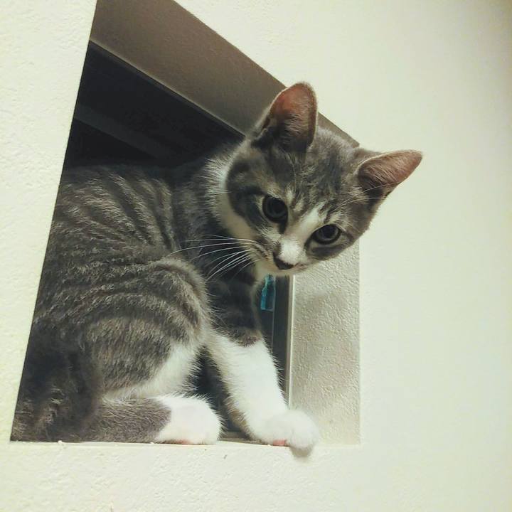 Bc26cd5d 934d 4c16 bf8d 745645019539 1627466054373