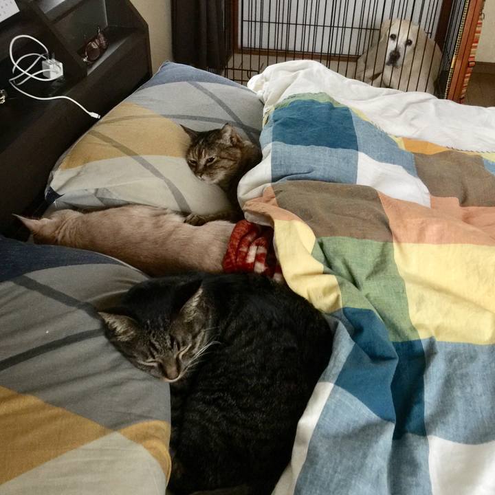 Bc26ce54 56b6 452f bfd8 da2c443642b5 1590435372500