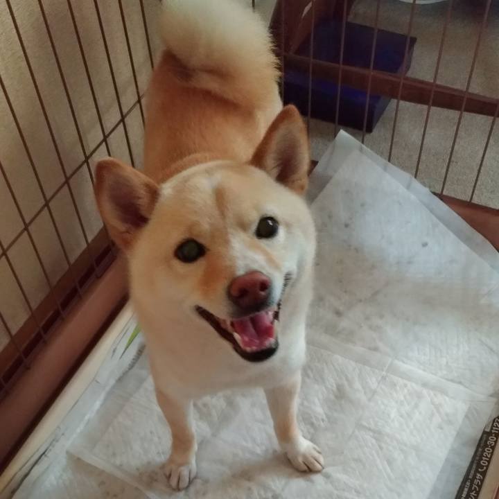 Bc26da7c 7f5e 44ee 9b0d 35bc960619ee 1559166699695