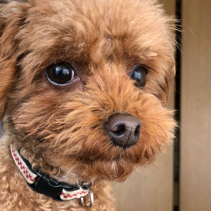 Bc270327 2e3b 475d 8cbc 86680b6ad70c 1549161268824