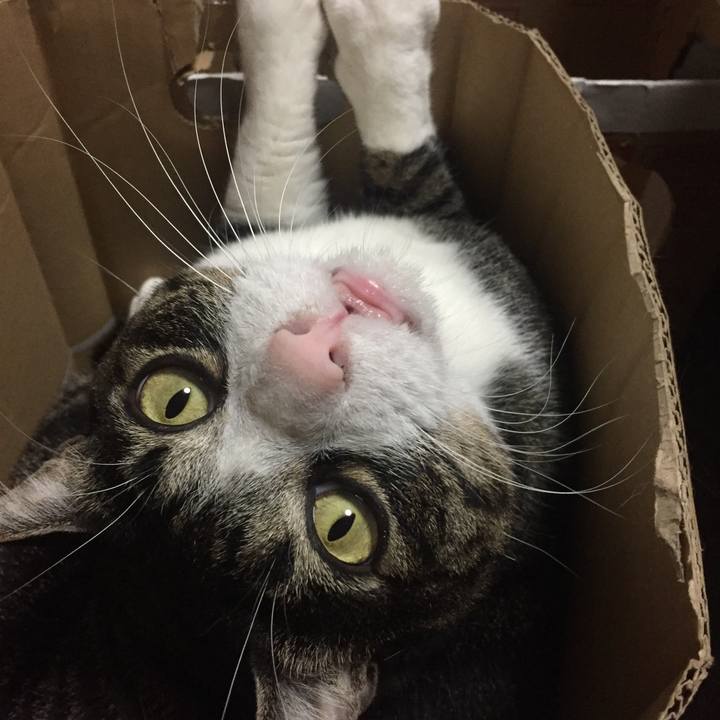 Bc27048a 3e9a 4060 baf1 df36019d0db8 1509980197608