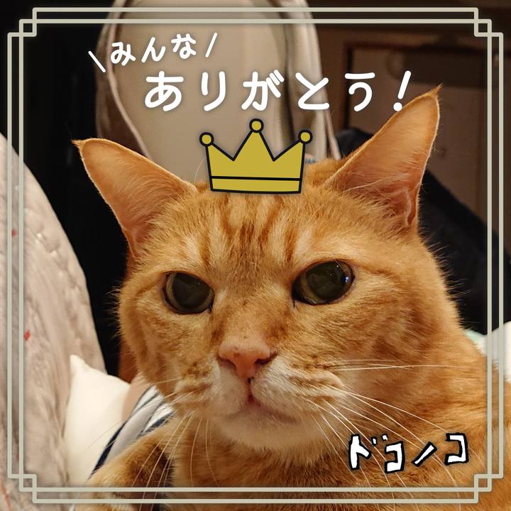 Bc276b17 da62 42fa adf3 fd3ccba32373 1623023874308