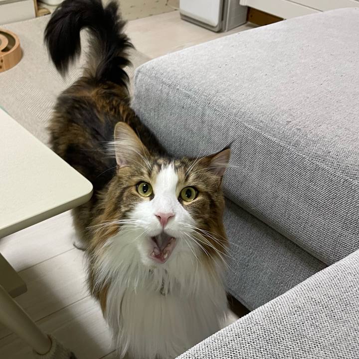 Bc277325 1b60 461e 9d4d 80228c2c5ea9 1677700240309