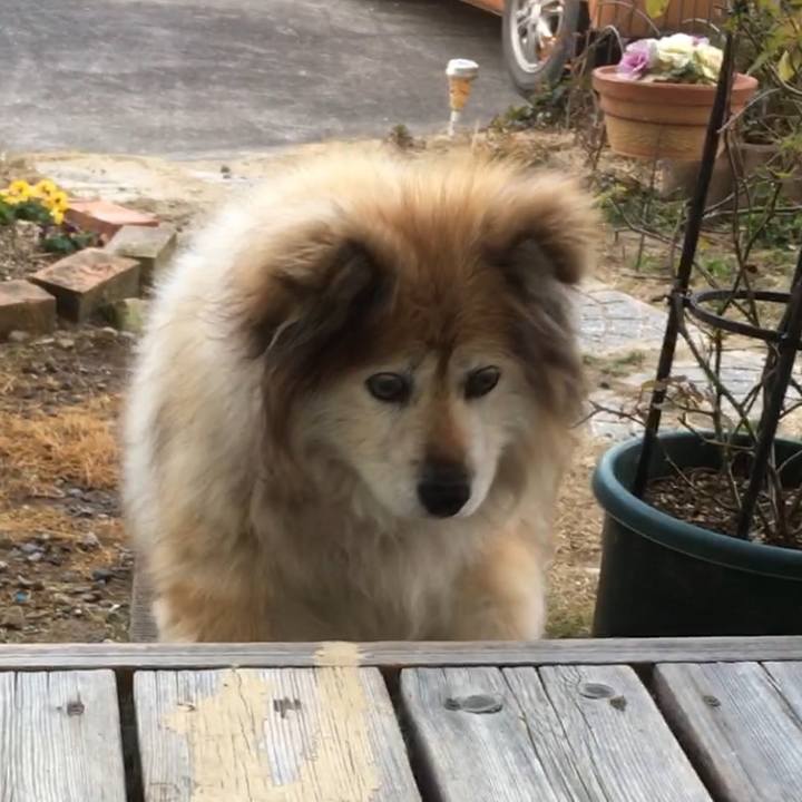 Bc278c1e 5091 4c66 ab4d c4557c2335a6 1580794615733