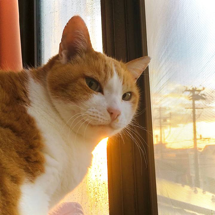 Bc278e8f 4b60 489a 987e 3403717909fa 1607483948217