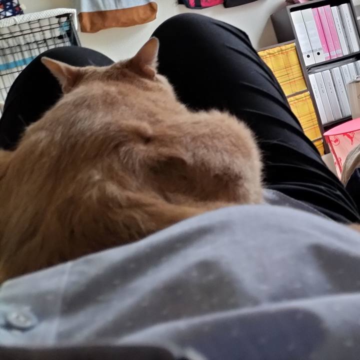 Bc279e91 c849 407e 8a2d 7f56edd89805 1650928941208