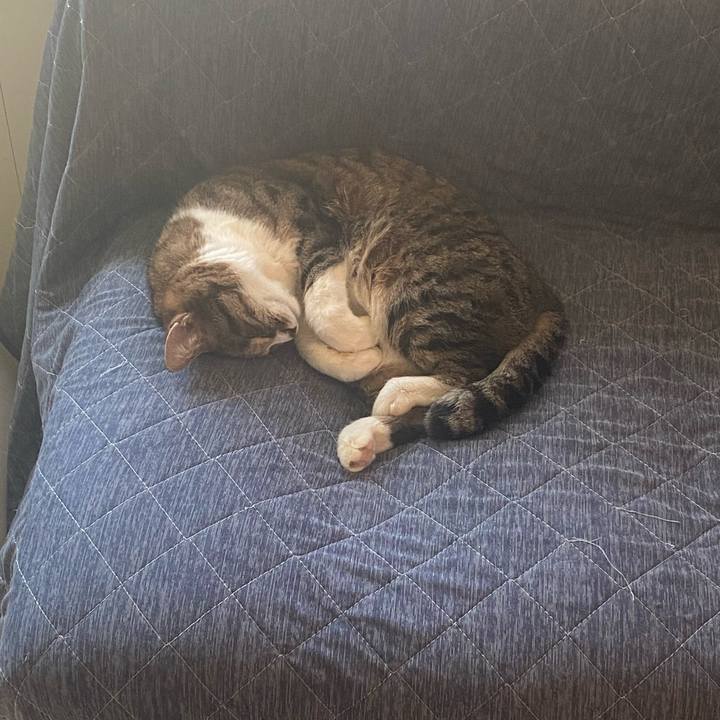 Bc27be84 cba0 4d0d 9763 dd5c8def441a 1716609802780