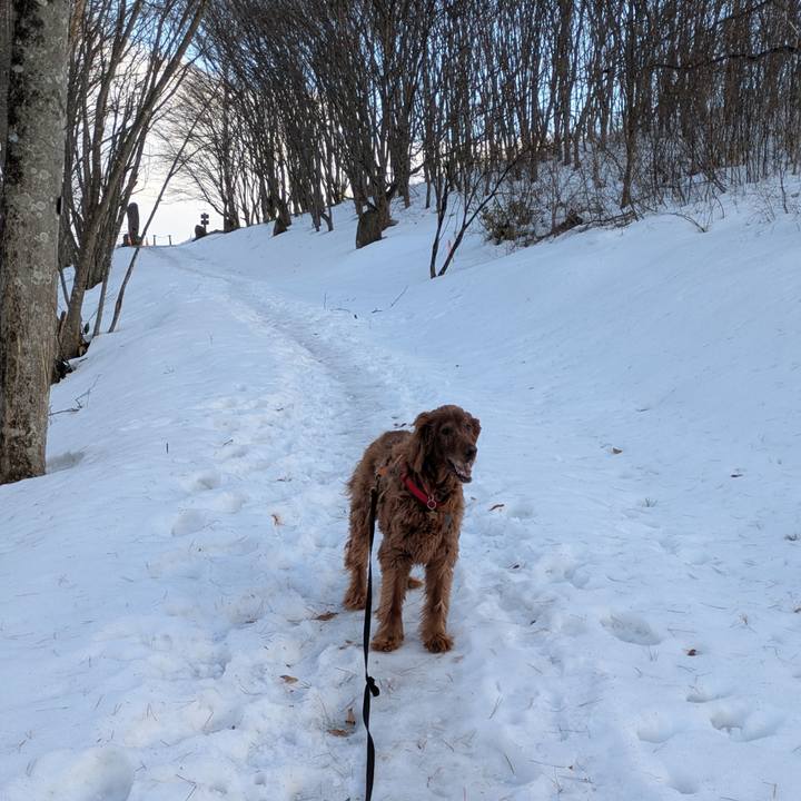 Bc27c076 307c 420c 9375 d9a744a628d1 1771233336458