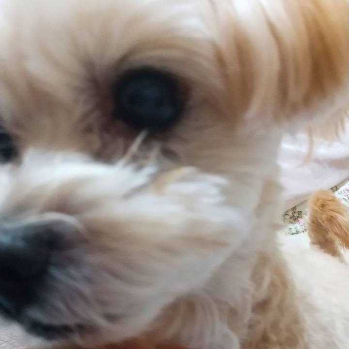 Bc28057e 5626 498c b4e2 b3ba8064bf9f 1576930332659